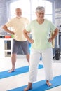 Elderly couple doing exercises Royalty Free Stock Photo