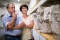 Elderly couple of tourists view exhibits in a museum