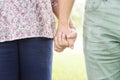 Elderly Couple Happiness Romantic Holding Hand Concept