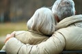 Portrait of elderly couple in autumn park Royalty Free Stock Photo