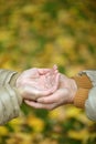 Elderly couple holding hands in autumn park Royalty Free Stock Photo