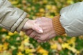 Elderly couple holding hands in autumn park Royalty Free Stock Photo