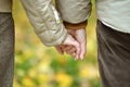 Elderly couple holding hands in autumn park Royalty Free Stock Photo