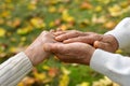 Elderly couple holding hands in autumn park close up Royalty Free Stock Photo