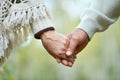 Elderly couple holding hands in autumn park close up Royalty Free Stock Photo