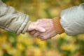 Elderly couple holding hands in autumn park Royalty Free Stock Photo