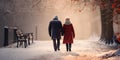 Elderly couple holding hands walks through snowy winter urban park Royalty Free Stock Photo