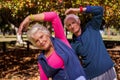 Elderly couple making fitness Royalty Free Stock Photo