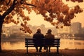 an elderly couple, a man and a woman, are sitting on a bench and enjoying the scenery, beautiful landscape at sunset, rear Royalty Free Stock Photo