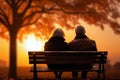 an elderly couple, a man and a woman, are sitting on a bench and enjoying the scenery, beautiful landscape at sunset, rear Royalty Free Stock Photo