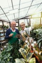 Senior couple in own flower shop. Concept of small business Royalty Free Stock Photo