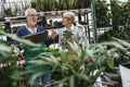 Senior couple in own flower shop. Concept of small business Royalty Free Stock Photo