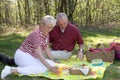 Elderly couple pic-nic Royalty Free Stock Photo