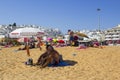 An elderly couple relaxing in the shade of a sun brolly on the sandy beach in Albuferia in Portugal Royalty Free Stock Photo