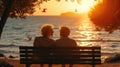 Elderly Couple Together Enjoying Sunset on Beach Bench