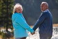 Elderly couple strolling through the breathtaking beauty of nature, maintaining their vitality and serenity, embracing