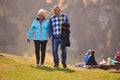 Elderly couple strolling through the breathtaking beauty of nature, maintaining their vitality and serenity, embracing