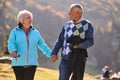 Elderly couple strolling through the breathtaking beauty of nature, maintaining their vitality and serenity, embracing
