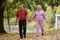 Elderly couple strolling through the breathtaking beauty of nature, maintaining their vitality and serenity, embracing