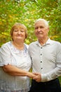 Elderly couple walking in the park on an autumn day Royalty Free Stock Photo