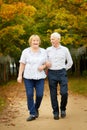 Elderly couple walking in the park on an autumn day Royalty Free Stock Photo