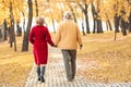 Elderly couple walking in park Royalty Free Stock Photo