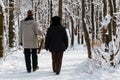 Elderly couple walking in the park