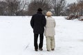 Elderly couple walking in the park