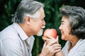 Elderly Couples eating some fruit