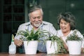 Elderly couples talking together and plant a trees Royalty Free Stock Photo