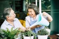 Elderly couples talking together and plant a trees Royalty Free Stock Photo