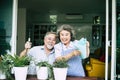 Elderly couples talking together and plant a trees Royalty Free Stock Photo