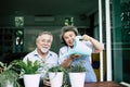 Elderly couples talking together and plant a trees Royalty Free Stock Photo