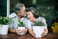 Elderly couples talking together and plant a trees Royalty Free Stock Photo