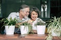 Elderly couples talking together and plant a trees Royalty Free Stock Photo