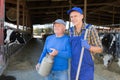 Elderly dairy farm owner with adult son posing in stall with cows Royalty Free Stock Photo