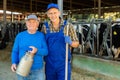 Elderly dairy farm owner with adult son posing in stall with cows Royalty Free Stock Photo