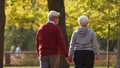 Elderly European married couple walking in park, holding hands, shot from the back, medium shot copy space