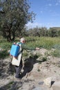 Elderly farmer spraying weed pesticide