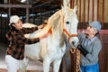 Elderly farmer woman with asian female assistant caring horse in stable