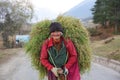 Woman Carrying Heavy Load of Grain, Bhutan