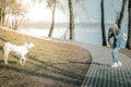 Elderly female photographer taking picture of the dog in park