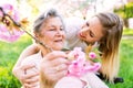 Elderly grandmother in wheelchair with granddaughter in spring nature. Royalty Free Stock Photo