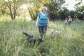 Elderly grayhaired woman with her lovely dogs in the park Royalty Free Stock Photo