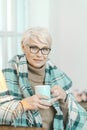 Elderly Gtey-haired Woman Wrapped In A Checkered Plaid Is Drinking Tea At Home Royalty Free Stock Photo