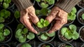 Elderly Hands Holding Young Plant.AI generated image Royalty Free Stock Photo