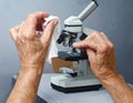 Elderly Hands Using Microscope for Scientific Research Royalty Free Stock Photo
