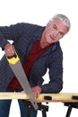 Elderly handyman sawing wood Royalty Free Stock Photo