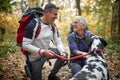 An elderly hikers couple and their dog enjoying a hike Royalty Free Stock Photo
