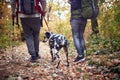 An elderly hikers couple and their dog having wonderful moments at a hike Royalty Free Stock Photo